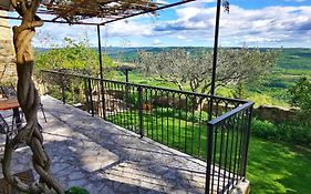 Studio Apartment Belvedere